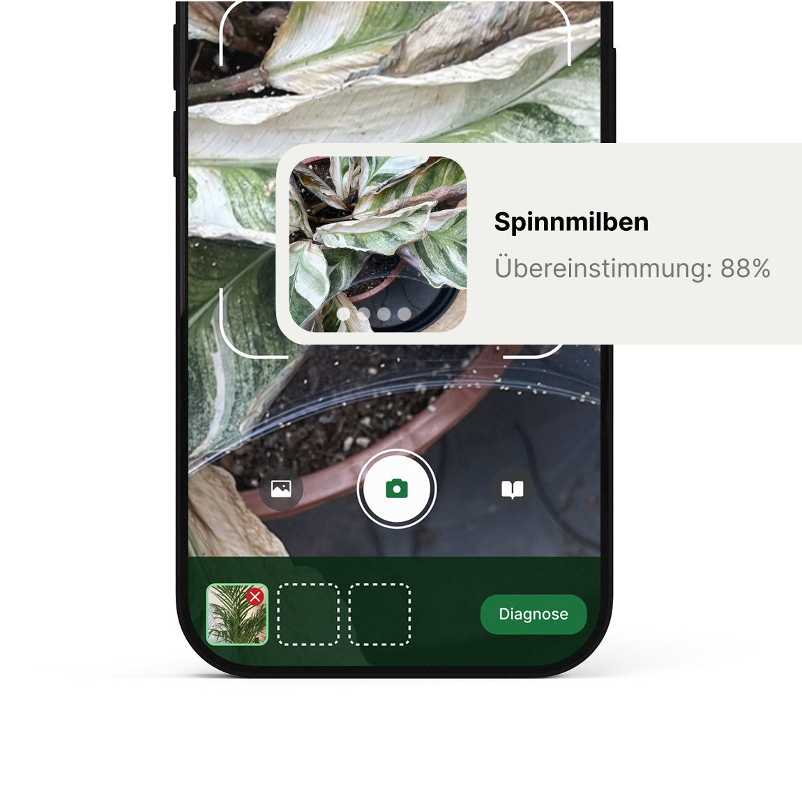 FYTA App Foto-Diagnose erkennt Pflanzenkrankheiten und Schädlinge