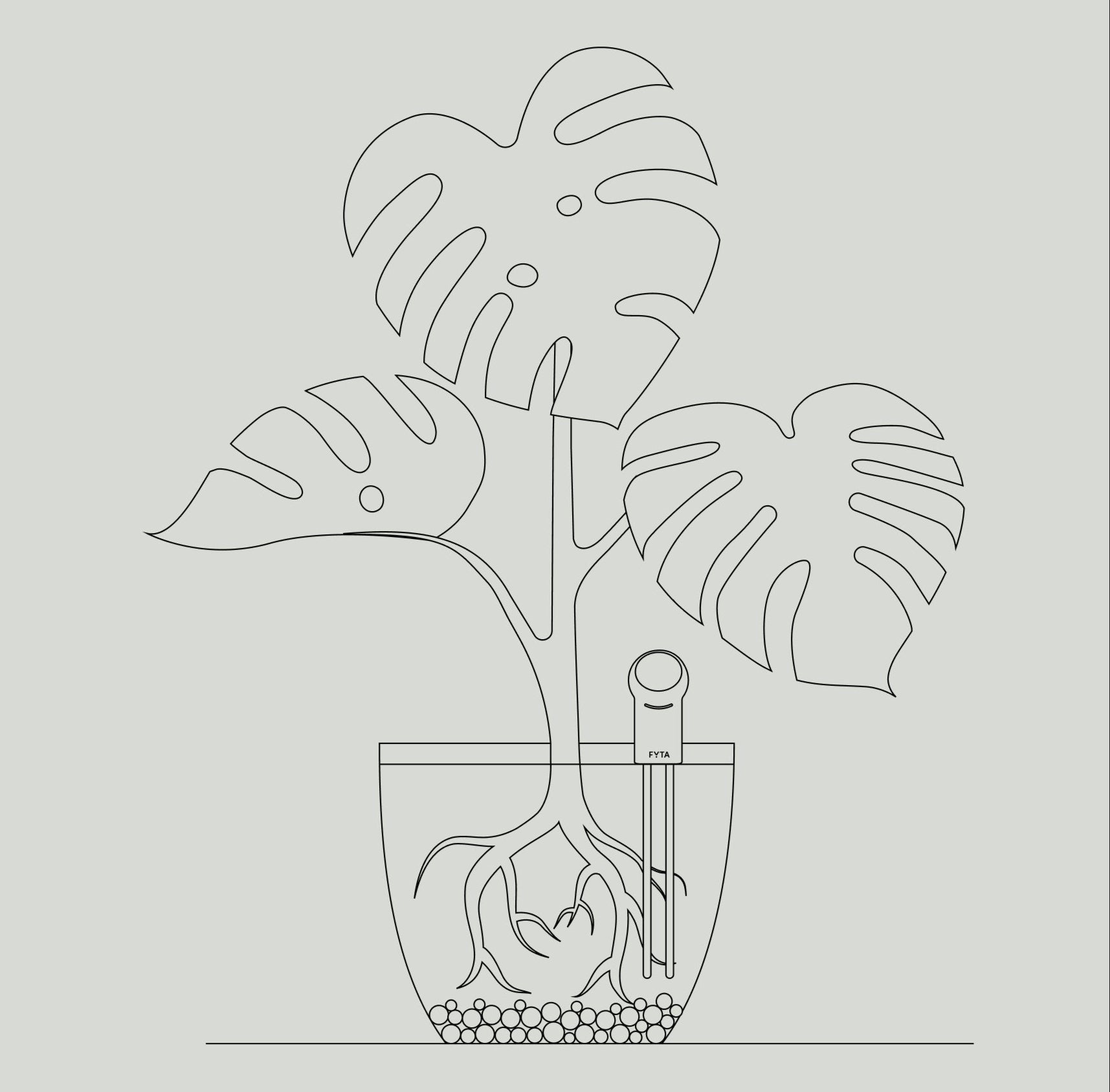 Illustration: FYTA Beam korrekt im Topf positionieren