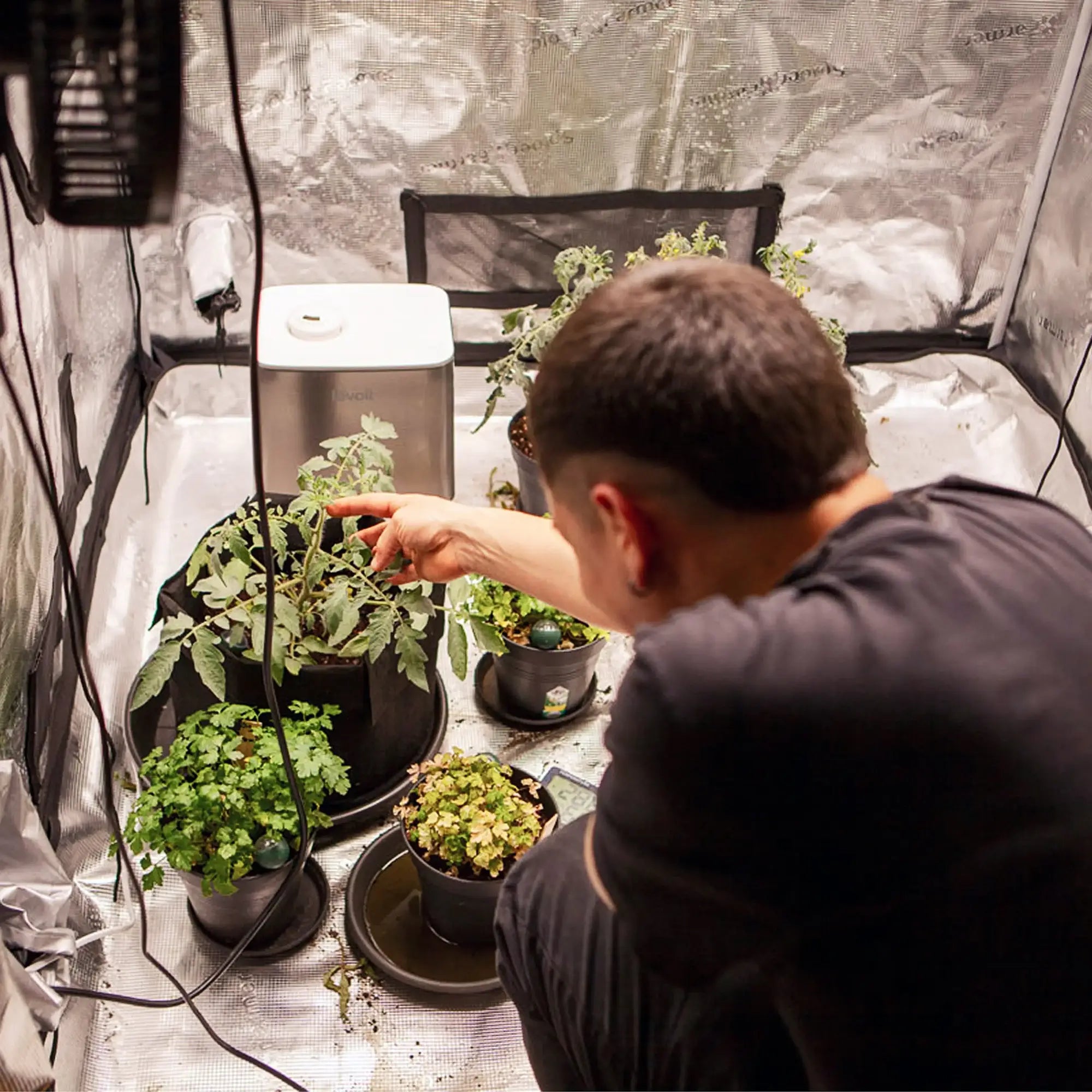 FYTA Grow Set